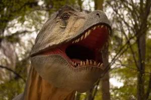 Cabinet Stomatologic Iași – Urgențe Non-Stop | Dr. Graur Romeo Dintii de dinozaur. dr. graur romeo